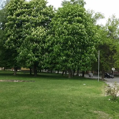 Casa de hóspedes за гости върбани 3*
