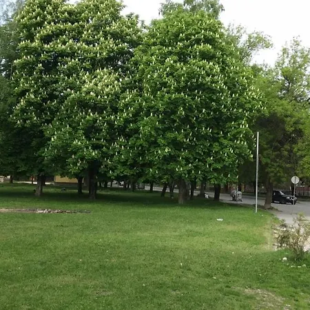Guest house за гости върбани *