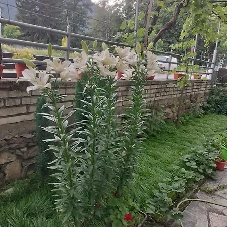 Casa de hóspedes за гости върбани 3*