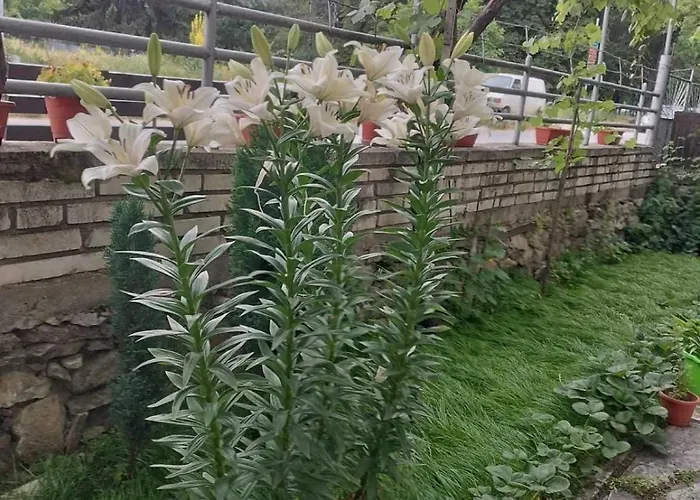 Konukevi за гости върбани 3*